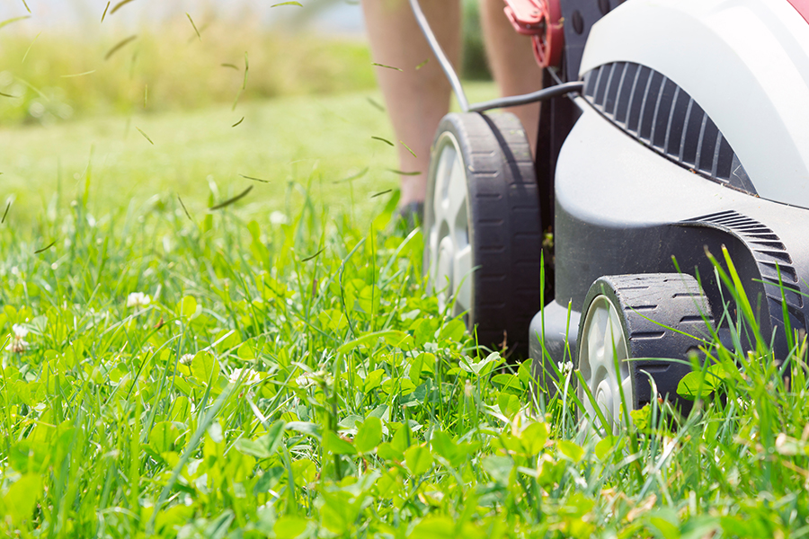 草刈り