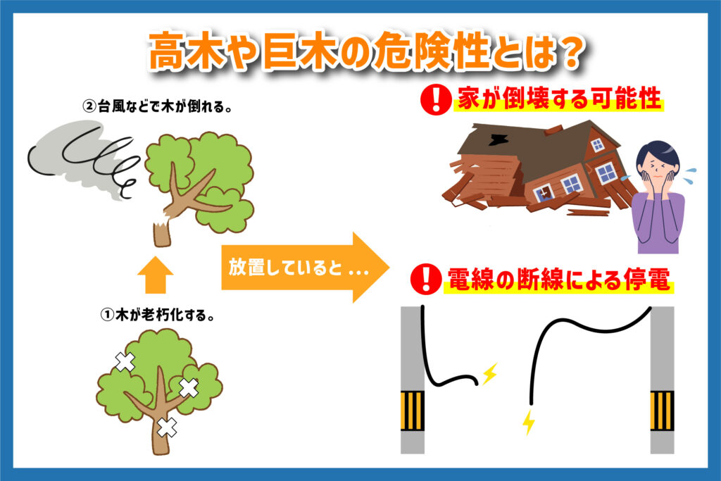 高木や巨木の危険性