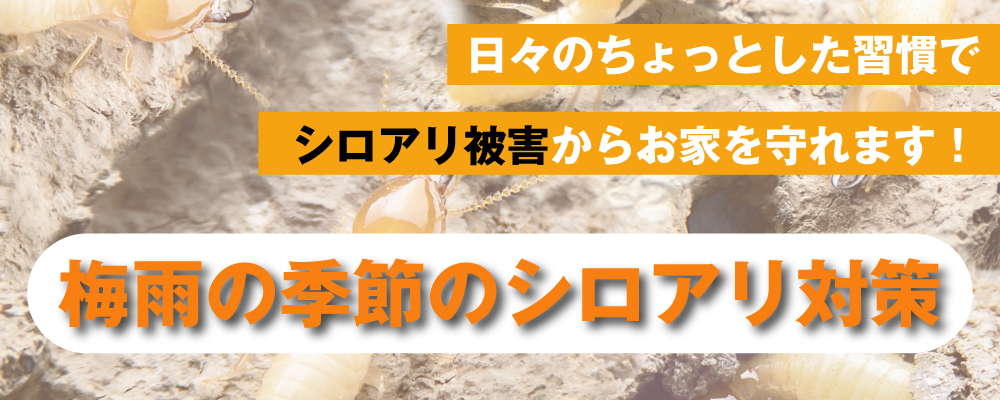 シロアリ対策