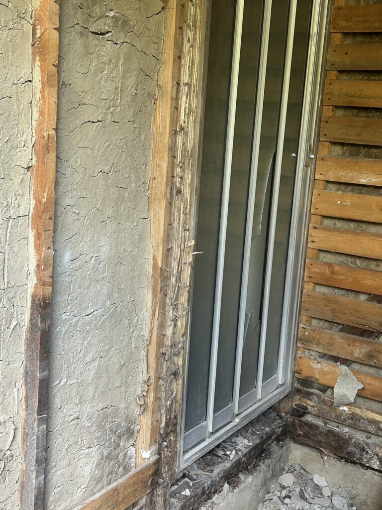 シロアリの被害